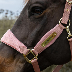 Cabeçada de estábulo em veludo Unicorn Kentucky – equitação