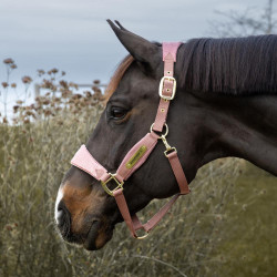 Cabeçada de estábulo em veludo Unicorn Kentucky – equitação