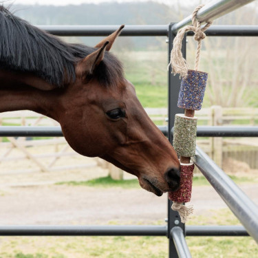 Brinquedo relaxante para cavalos – equitação | EQUI-CLIC