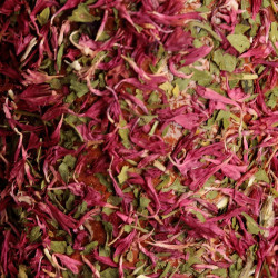 Brinquedo de madeira relaxante Grooming Deluxe Estresse Rosa