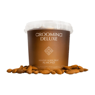 Guloseimas naturais para cavalos – snacks de equitação