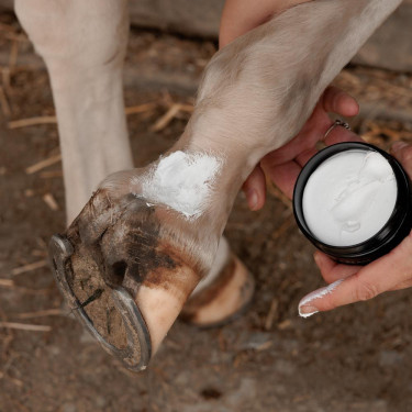 Creme antissarna para cavalos – Plus Grooming Deluxe