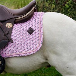 Suadouro Kentucky Sammy para equitação de salto
