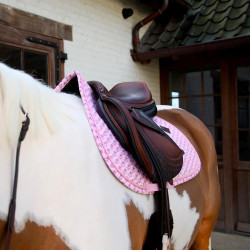 Suadouro Kentucky Sammy para equitação de salto