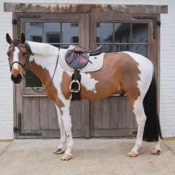 Sela Kentucky Melange Jumping Bege Sela Kentucky Melange Jumping Bege