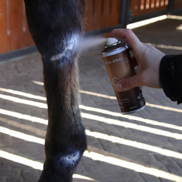 Spray de zinco para cavalos – cuidado de pele e cascos