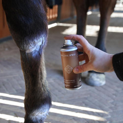 Spray de zinco para cavalos – cuidado de pele e cascos
