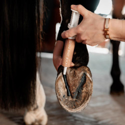 Pasta de zinco para cascos de cavalo Kentucky