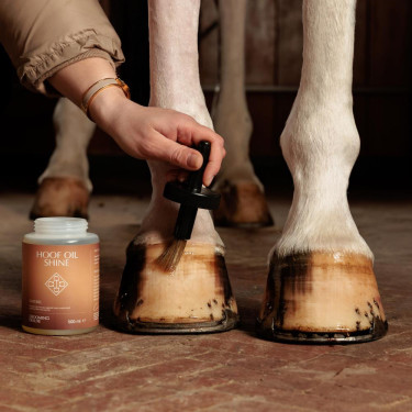 Óleo para cascos de cavalo Kentucky Shine Grooming
