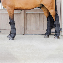 Botas estáveis PROtect para anteriores versão longa Kentucky Preto