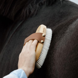 Escova de equitação macia p/ cavalos sensíveis | Goat hair