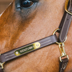 Caveção de couro vegano para cavalo Wellington Kentucky
