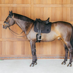Almofada de Equitação para Dressage Kentucky