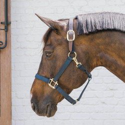 Cabeçada de Equitação Breakaway Kentucky Nylon