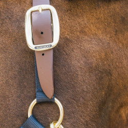 Cabeçada de Equitação Breakaway Kentucky Nylon