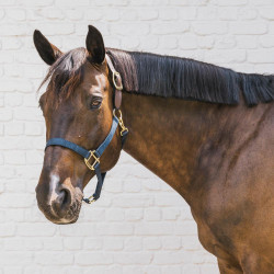 Cabeçada de Equitação Breakaway Kentucky Nylon