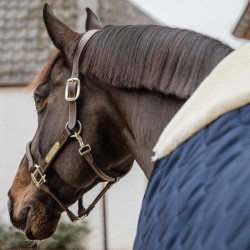 Manta de Estábulo para Cavalo Kentucky Comfort Manta de Estábulo para Cavalo Kentucky Comfort