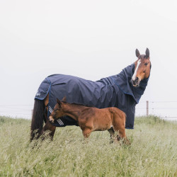 Manta Impermeável para Cavalo Kentucky Exterior