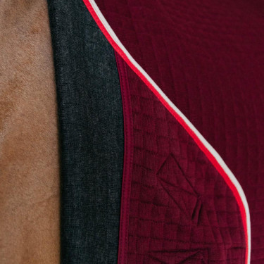 Manta de equitação secante Kentucky PROtherm