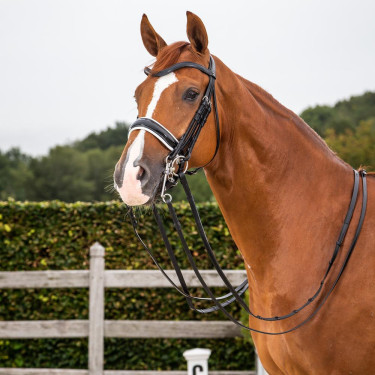 Bridão coleção Dy'on dressage couro liso Cnosebando Largo Envernizado Forro Branco Preto