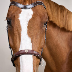 Bridão de Equitação Sem Embocadura Dy'on