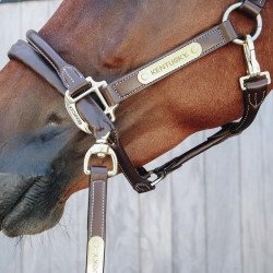 Longe e corrente de apresentação em couro Kentucky Castanho