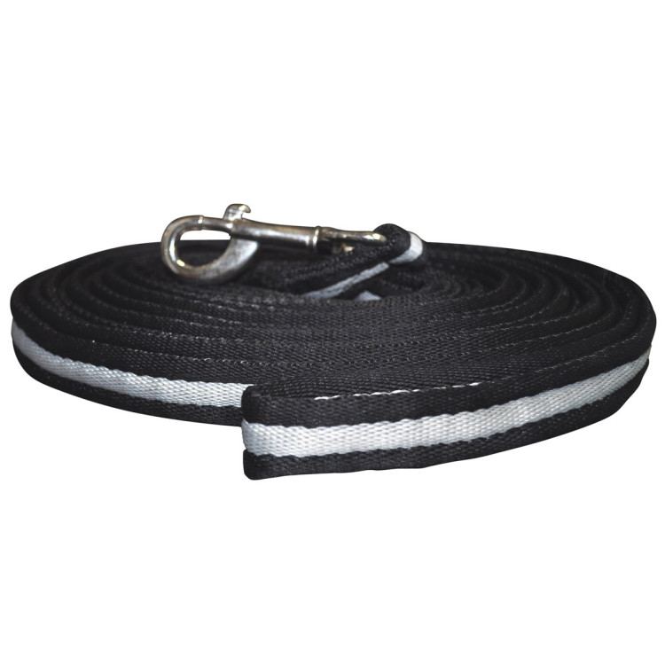 Longe para trabalho Canter Longe para trabalho Canter