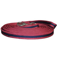 Longe para trabalho Canter Longe para trabalho Canter