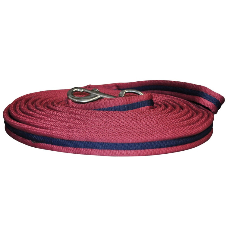 Longe para trabalho Canter Longe para trabalho Canter