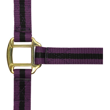 Cabeçada de nylon forrada a couro Norton Violeta / preto Cabeçada de nylon forrada a couro Norton Violeta / preto