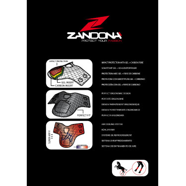 Protetor de boleto Carbon Air Balance Zandona Protetor de boleto Carbon Air Balance Zandona