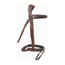 Bridon Lautrec T de T Havana escuro / preto Castanho