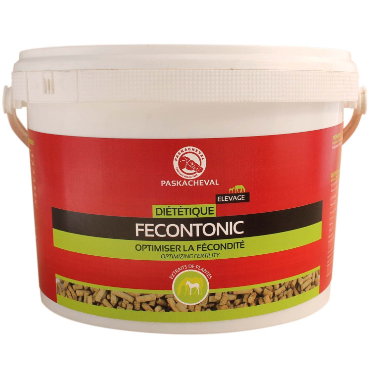 Fecontonic Paskacheval Fecontonic Paskacheval