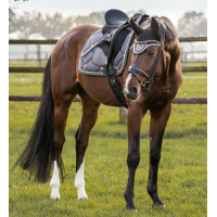 Sela de Salto Night Collection Back On Track Cinzento