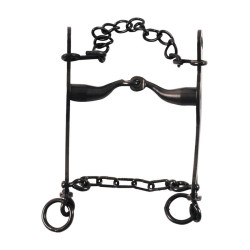 Mors Maremmano Ferro Preto