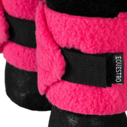 Conjunto de ligaduras Toy Horse