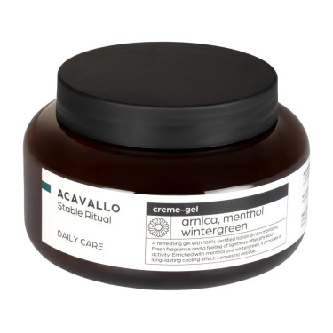 Arnica 90 com mentol 500 ml