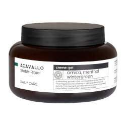 Arnica 90 com mentol 500 ml