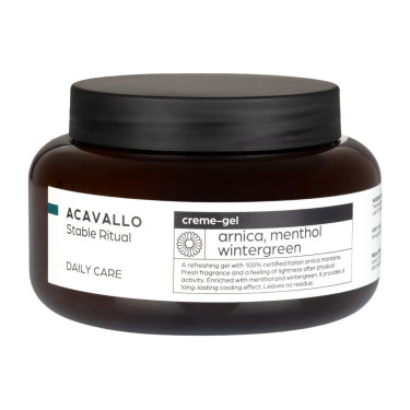 Arnica 90 com mentol 500 ml