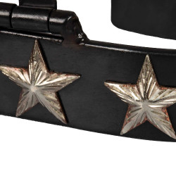 Esporas Western brunidas 6 estrelas