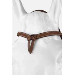 Futurity bridão tipo western cabresto atado com conchos