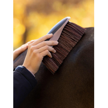 Escova macia de equitação LeMieux para cavalo | Equi-Clic