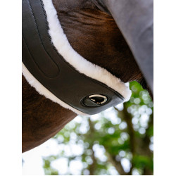 Cilha Hunter com forro removível Merino+ preto LeMieux