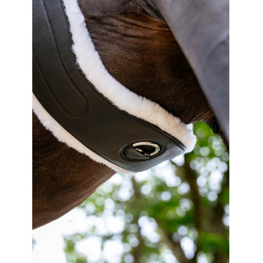 Cilha Hunter com forro removível Merino+ preto LeMieux