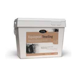 Equisport Potro Yearling Master Equisport Potro Yearling Master