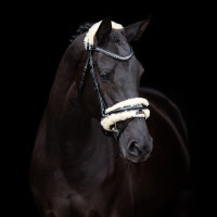 Bridão HV Polo Kate Preto