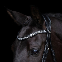 Bridão HV Polo Diana