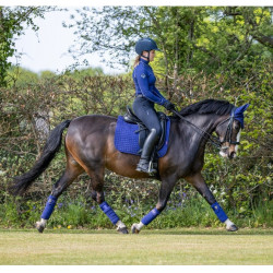 Tapete LeMieux Suede Dressage Square Azul tinta Tapete LeMieux Suede Dressage Square Azul tinta