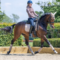 Tapete LeMieux Suede Dressage Square Azul Benetton