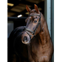 Bridão de dressage Arika LeMieux